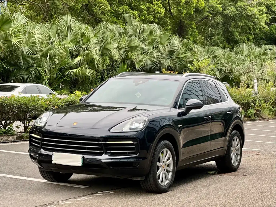 Porsche Cayenne New Energy Cayenne E-Hybrid 2.0T 2019