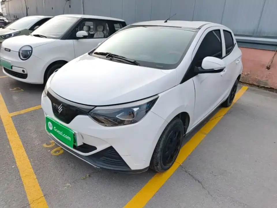 JMCG New Energy Little Kirin Model Lucky Edition 201km Comfort 2024