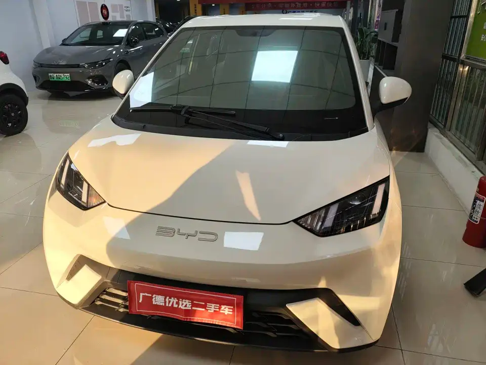BYD Seagull Freedom Edition 2023
