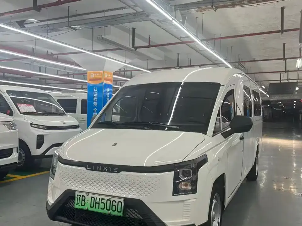 Lingshi Auto Ling Shi Golden Warehouse Model Year Luxury Edition First Class 2025