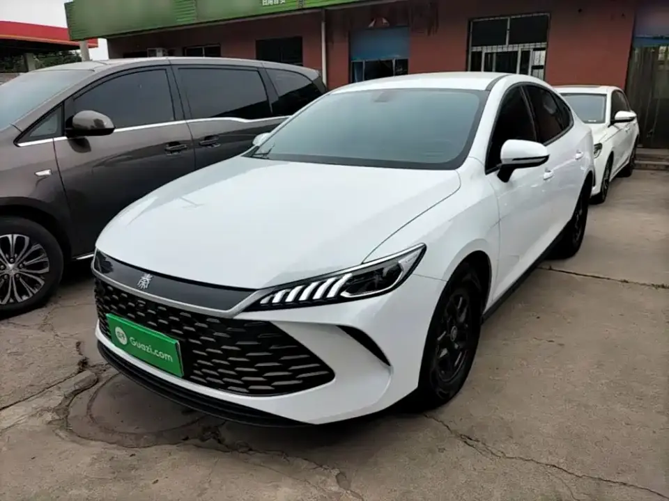 BYD Qin PLUS DM-i Smart Drive 55KM Leader 2025