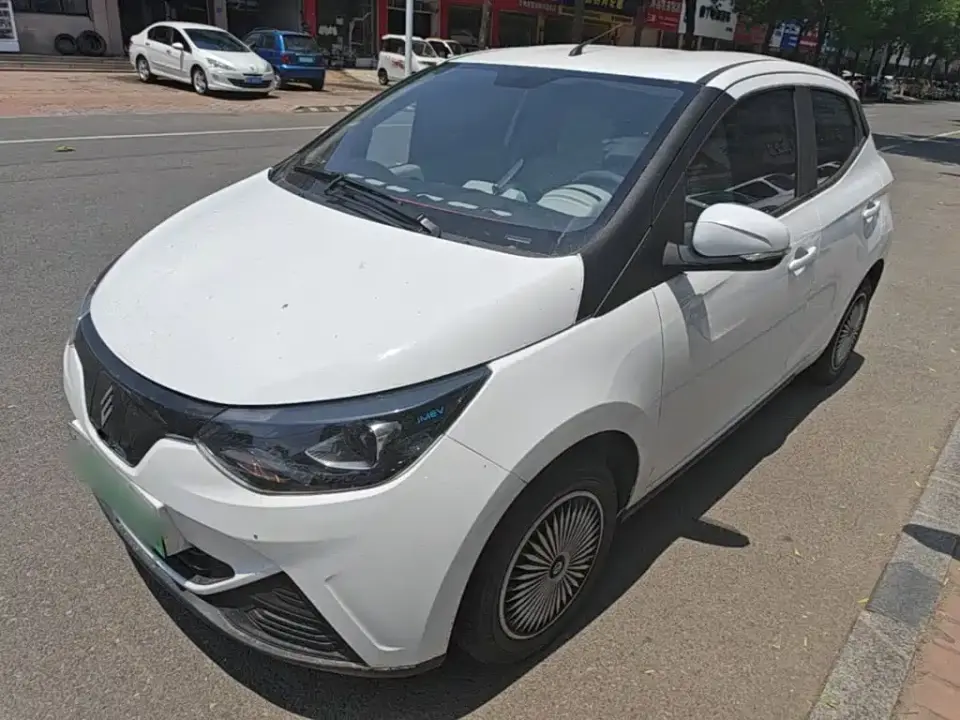 JMCG New Energy Little Kirin 201km Comfort Model 2024