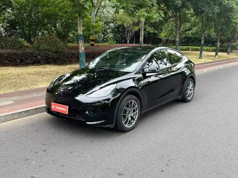Tesla Model Y Rear-Wheel Drive Edition 2024