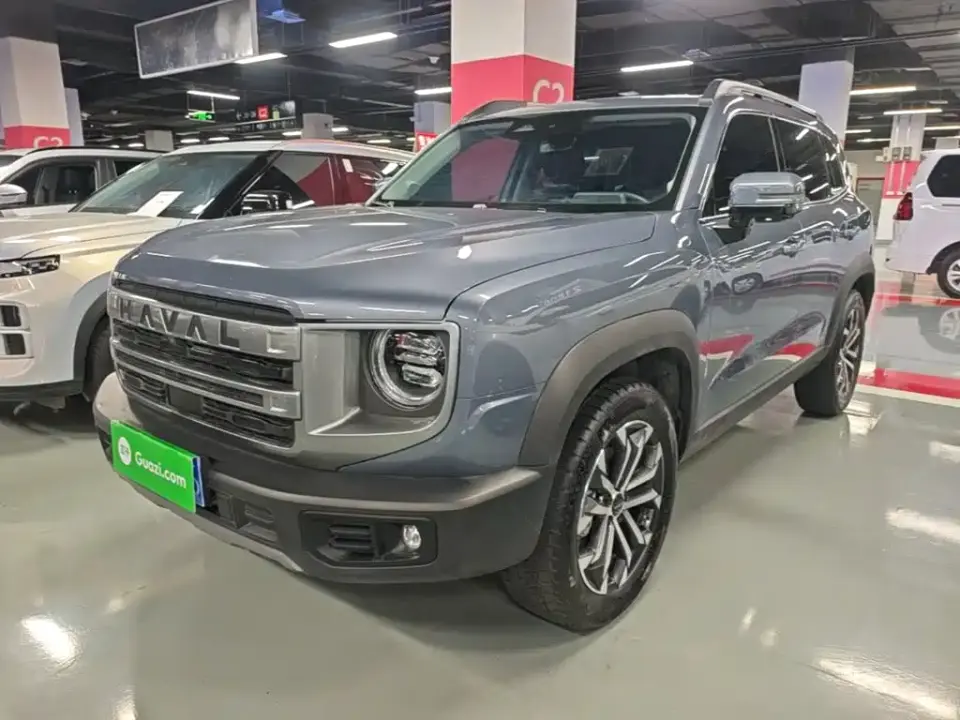 Haval Big Dog 1.5T DCT Border Collie Edition 2023