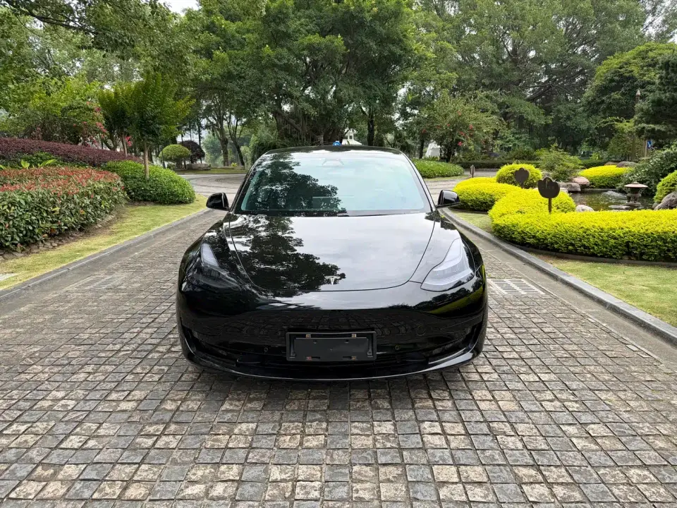 Tesla Model 3 Standard Range Rear-Wheel Drive Upgrade 2020