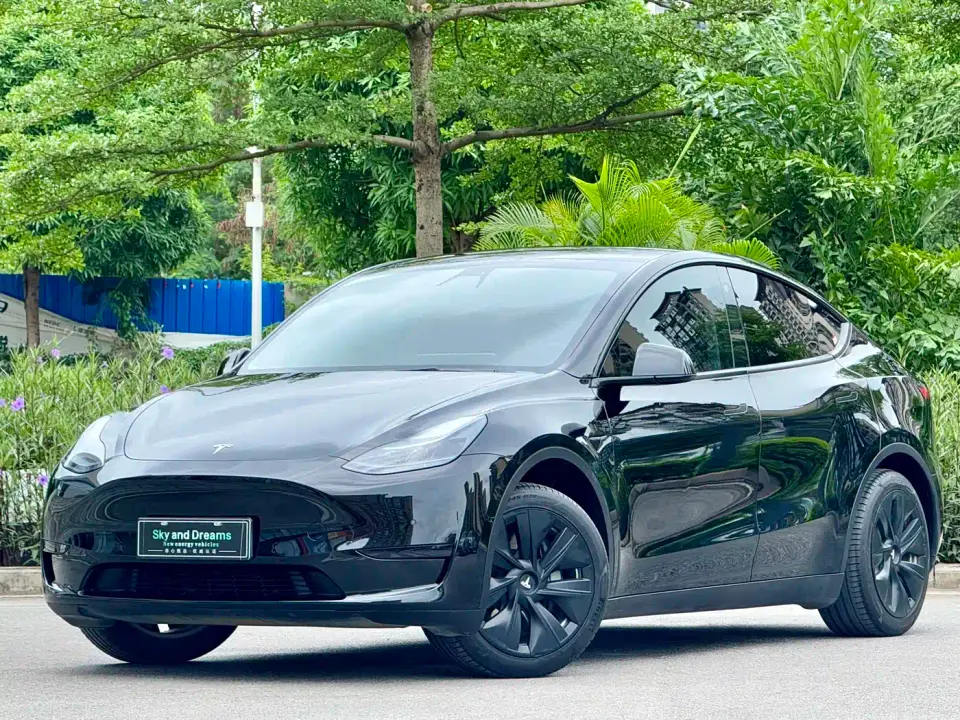 Tesla Model Y Rear-Wheel Drive Version 2022