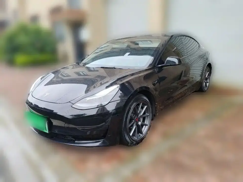 Tesla Model 3 Model Rear-Wheel Drive Version 2023