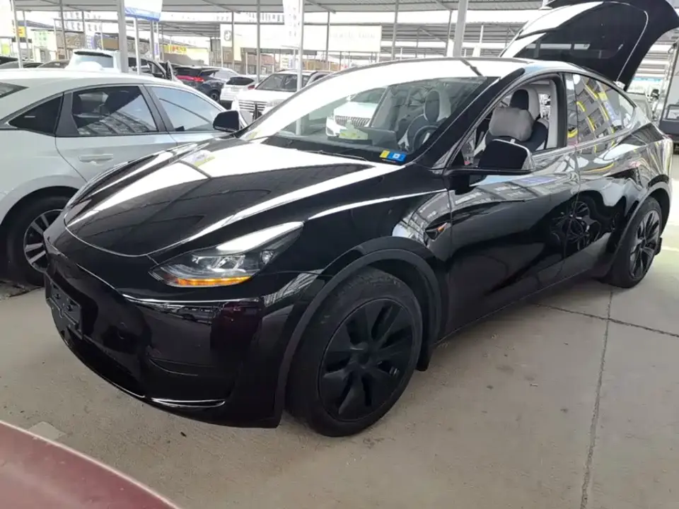 Tesla Model Y Rear-Wheel Drive Edition 2023
