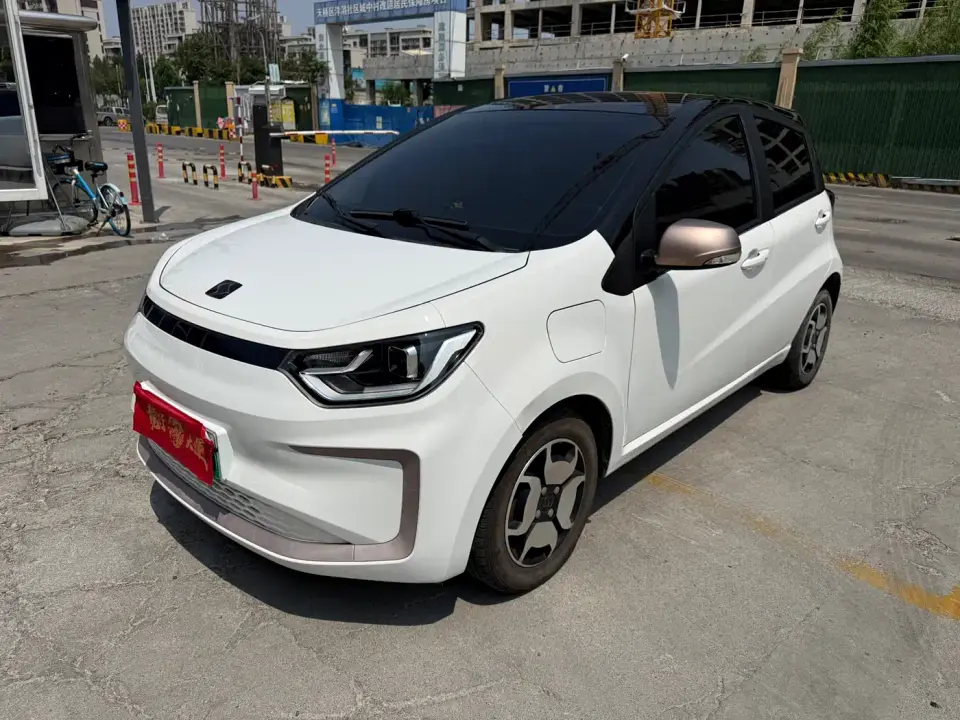 Sehol Flower Fairy Jimei Edition 302km Luxury 2021