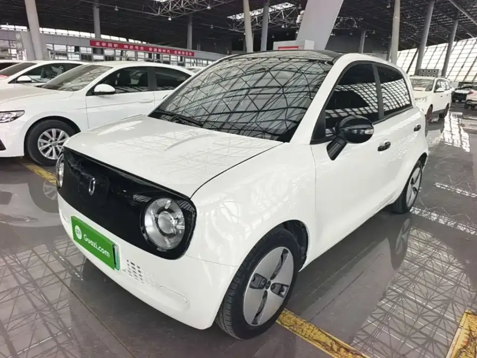 ORA Black Cat 351km Standard Model 2021