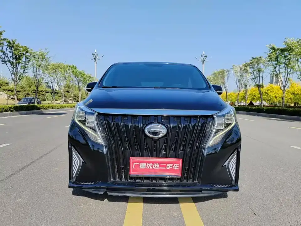 GAC Trumpchi M8 Pilot 390T Premium Edition 2021