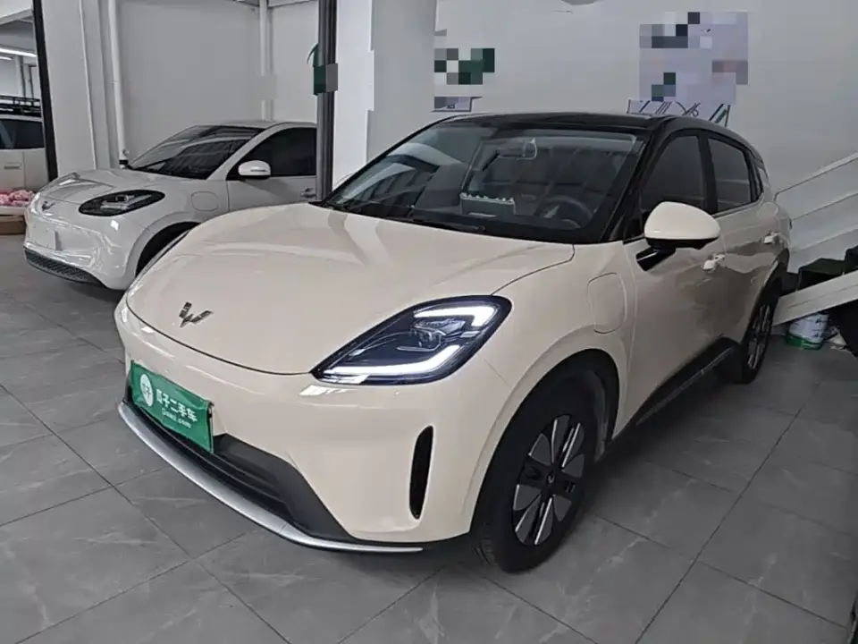 Wuling Motors Wuling Bingo S Model 325km Premium Edition 2025