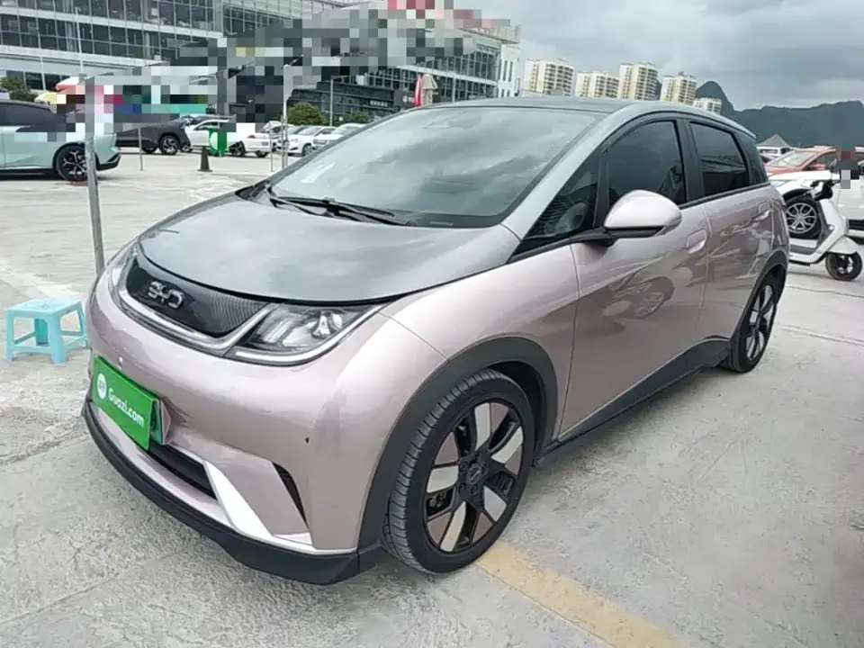 BYD Dolphin 401km Knight Edition 2021