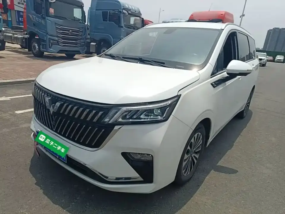 Wuling Motors Wuling Jiachen 1.5T CVT Exclusive Flagship Model 2023