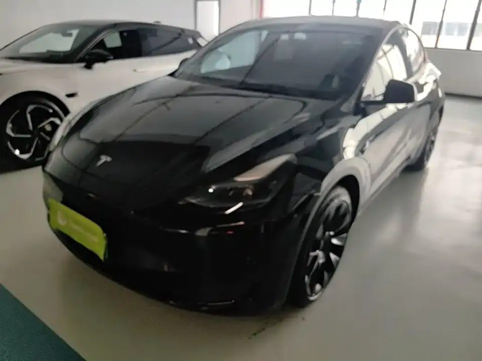 Tesla Model Y Rear-Wheel Drive Version 2022
