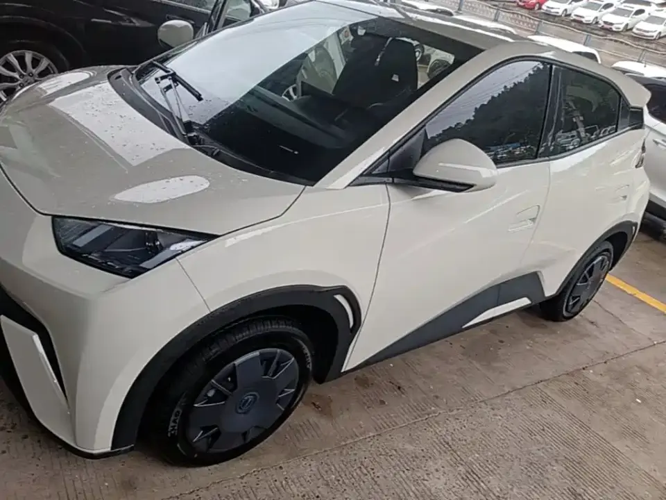 BYD Seagull 305km Vitality 2025