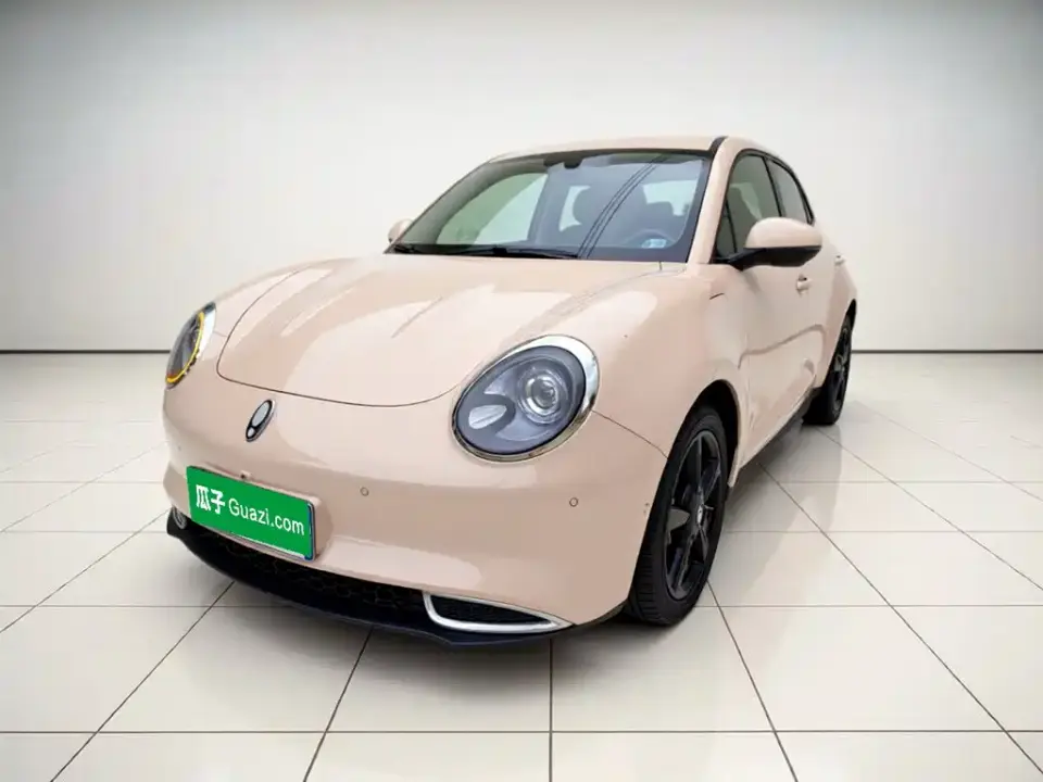 ORA Good Cat 401km Honor 135kW 2024