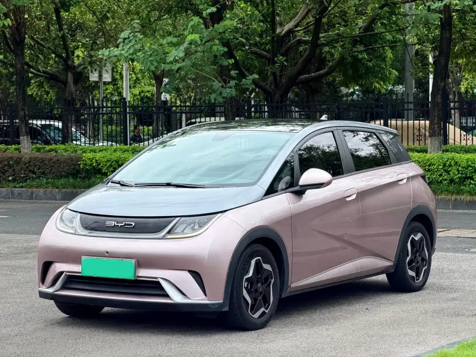 BYD Dolphin Model 405km Fashion Edition 2022