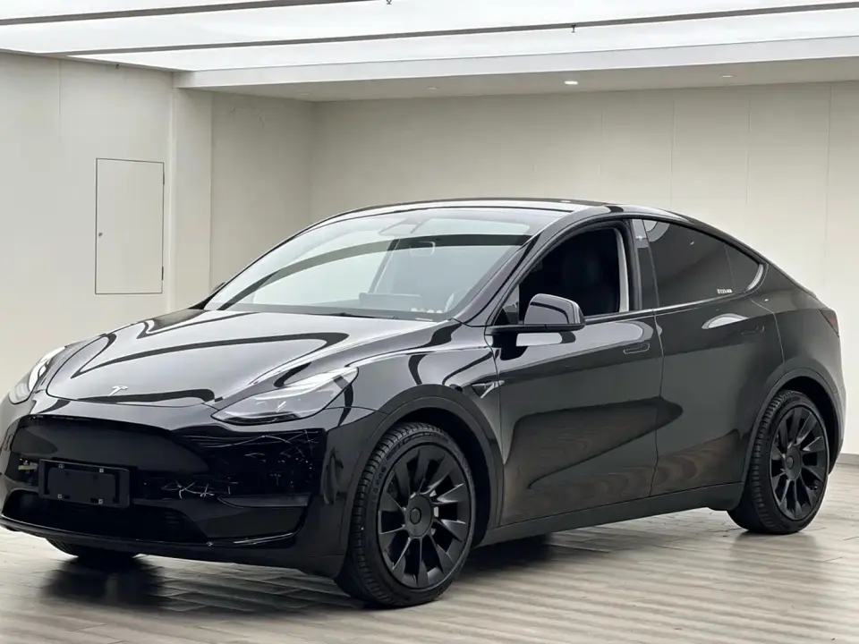 Tesla Model Y Standard Range Rear-Wheel Drive 2021