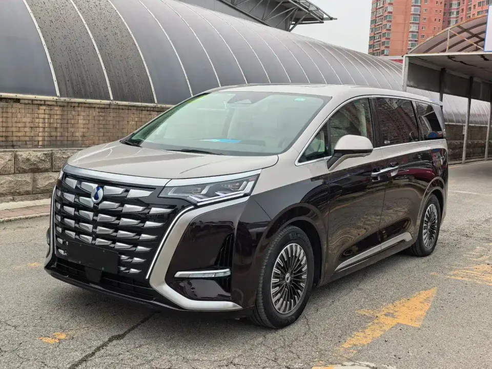 Denza D9 PREMIER Founder's Edition 2024