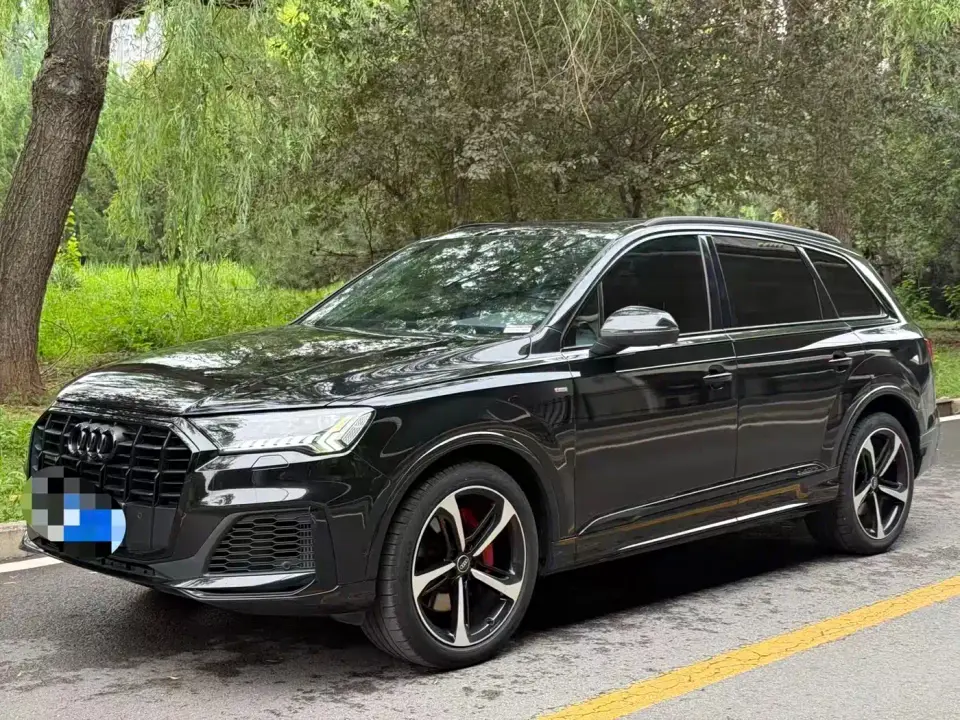 Audi Q7 55 TFSI quattro S line Ice & Snow Edition 2022
