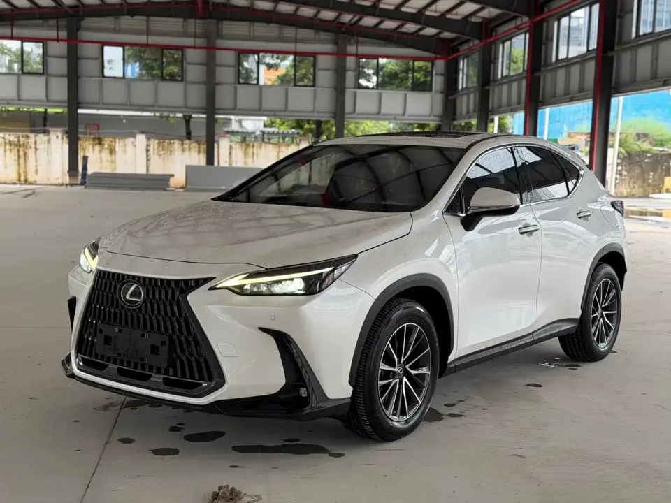 Lexus NX New Energy 400h+ Joy Edition 2021