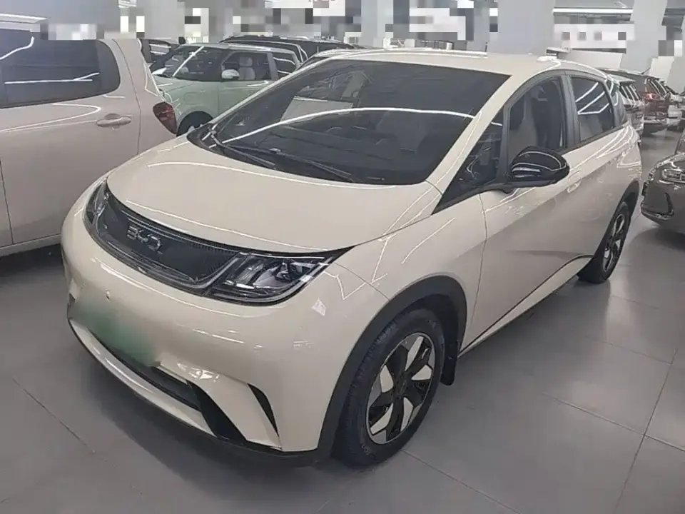 BYD Dolphin 420km Freedom Edition 2026