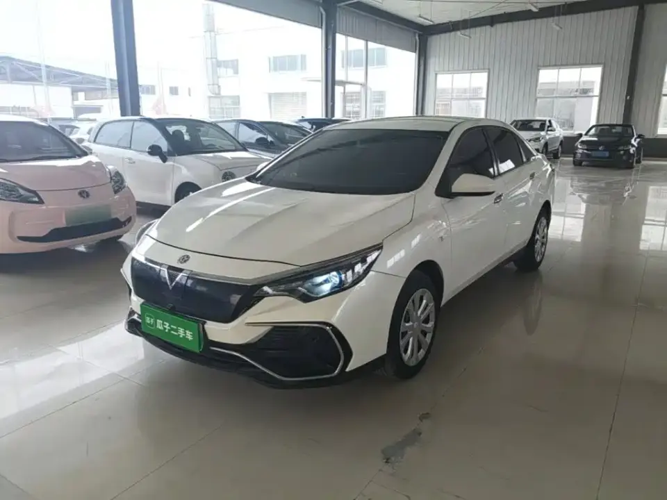 Venucia D60EV Standard Range Smart Edition 2022