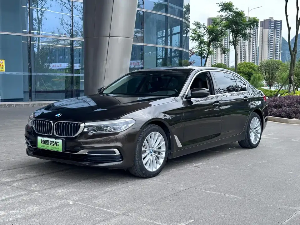 BMW 5 Series New Energy Facelift 530Le Luxury Package 2019