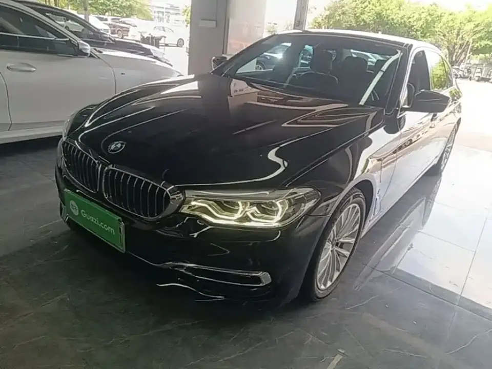 BMW 5 Series New Energy 530Le Luxury Package 2019