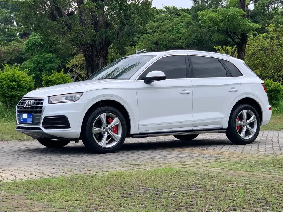 Audi Q5L 40 TFSI Prestige Progressive (China V) 2019