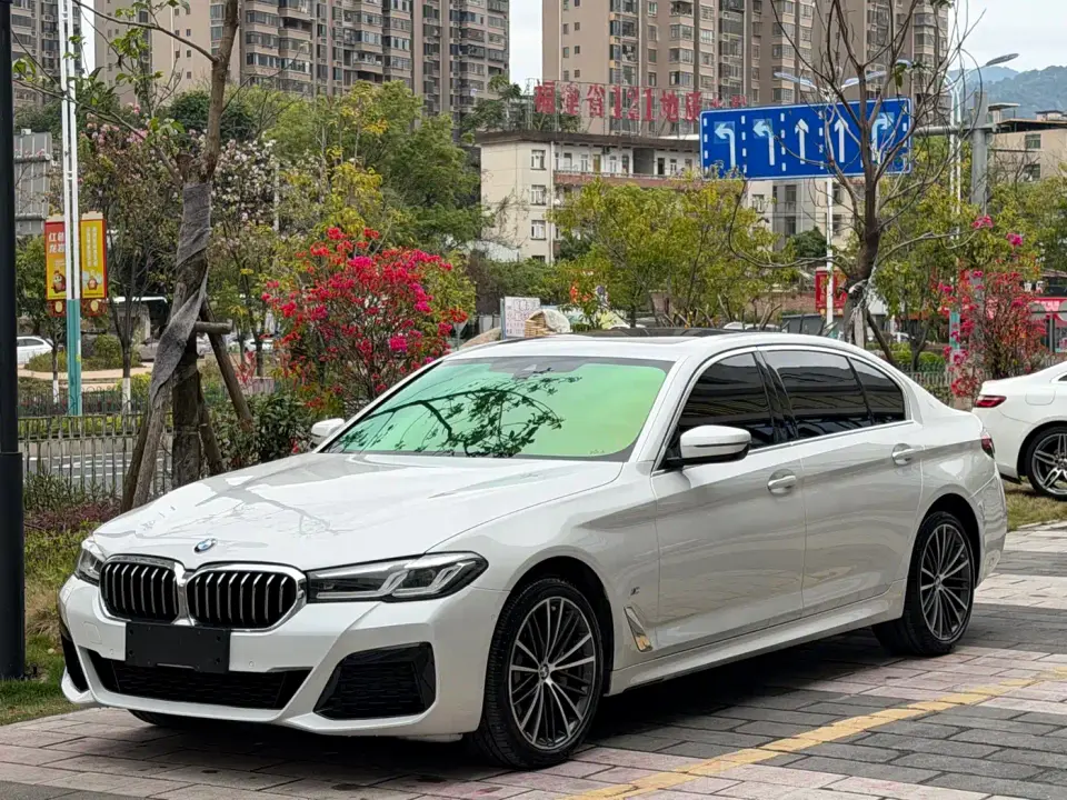 BMW 5 Series 530Li Leading M Sport Package 2021
