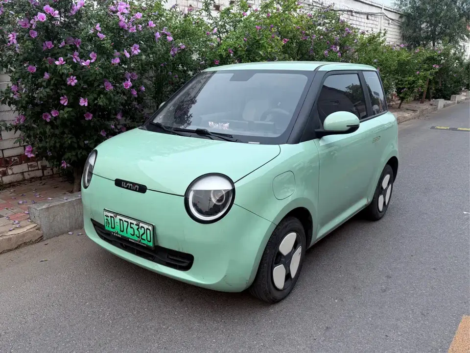 Changan Qiyuan Changan Lumin 155km Fresh Edition 2022