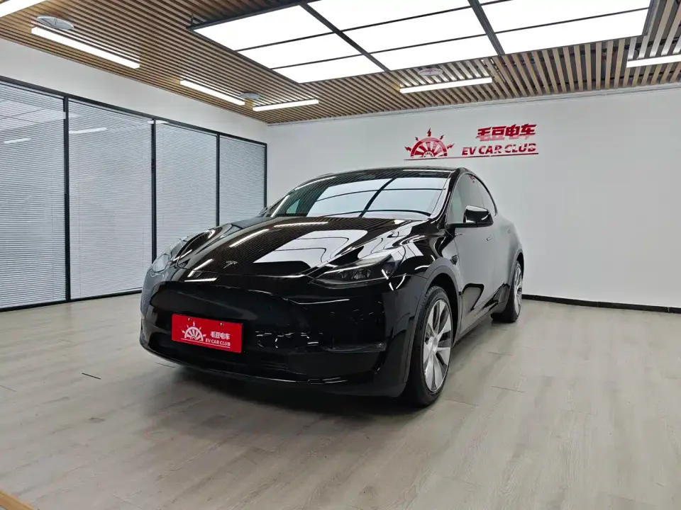 Tesla Model Y Model Long Range AWD 2021
