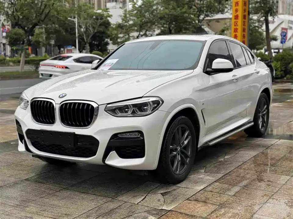 BMW X4 xDrive25i M Sport Package 2019