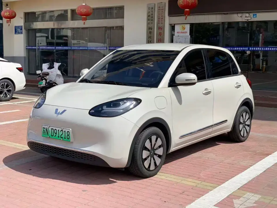 Wuling Motors Wuling Bingo Model 333km Joy Edition 2025