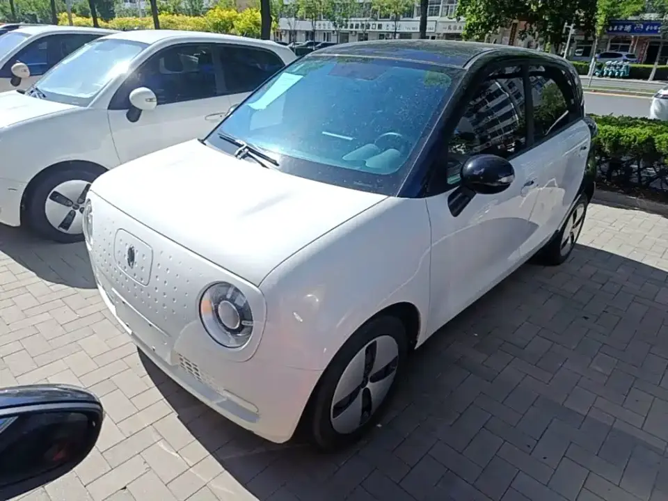 ORA Black Cat 301km Basic Model 2021
