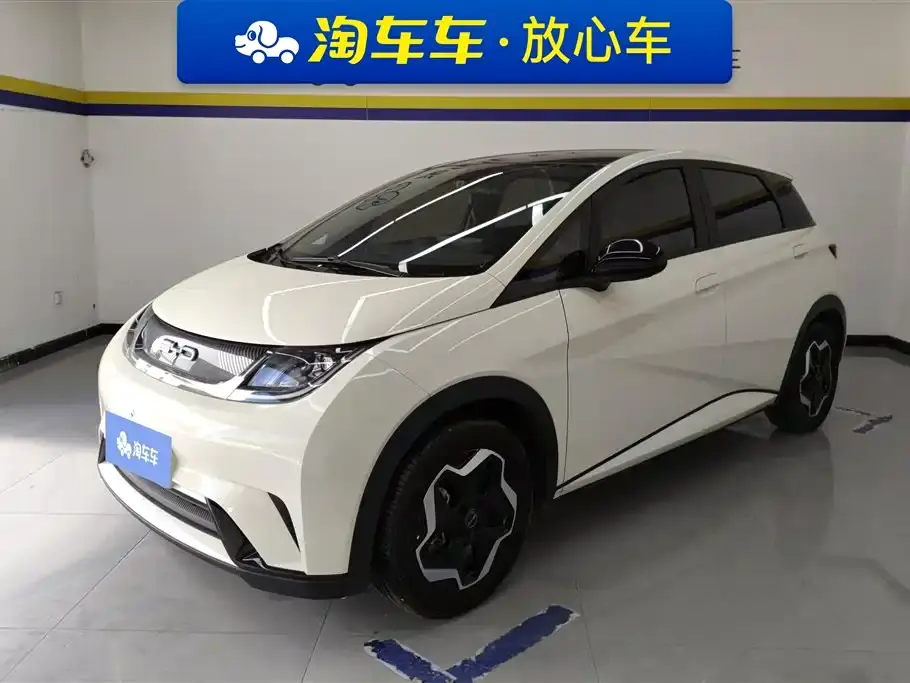 BYD Dolphin Model 405km Fashion Edition 2023