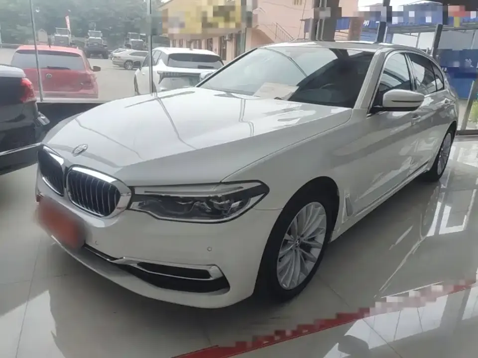 BMW 5 Series 530Li Leading Luxury Package 2020