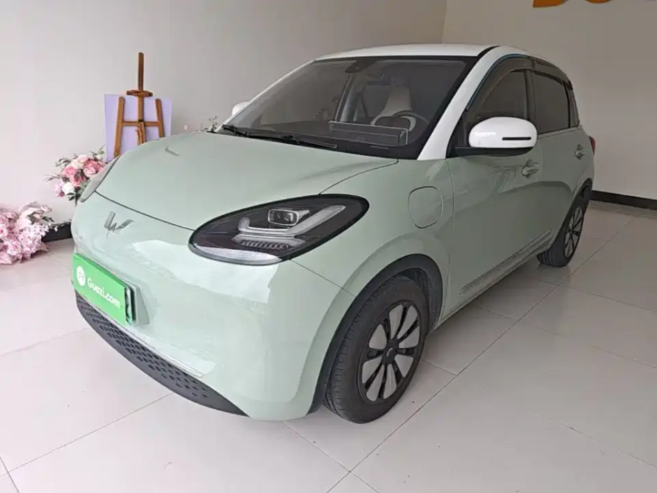 Wuling Motors Wuling Bingo 333km Joyful Version 2024