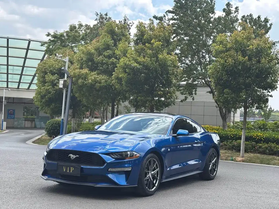 Ford Mustang 2.3L EcoBoost Performance Enhanced 2019