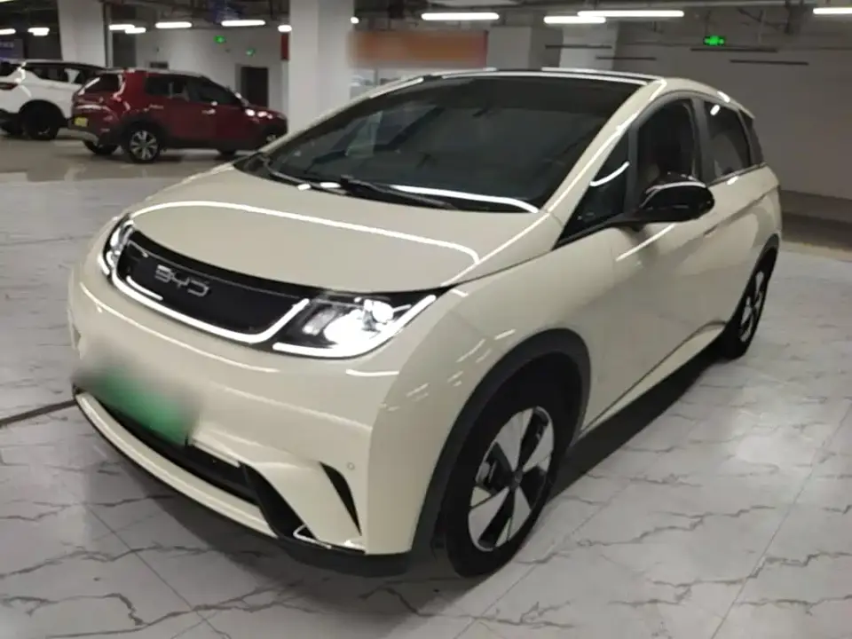 BYD Dolphin 420km Freedom Edition 2024