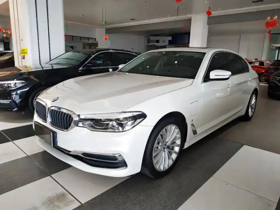 BMW 5 Series New Energy Facelift 530Le Luxury Package 2019