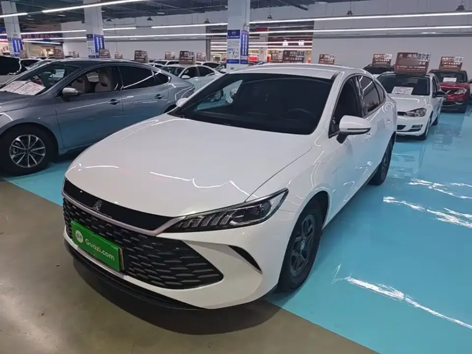 BYD Qin PLUS DM-i Smart Drive 55KM Leader 2025