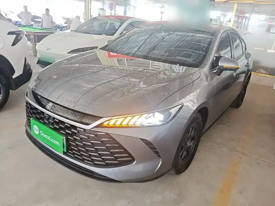 BYD Qin PLUS DM-i Smart Drive 55KM Leader 2025