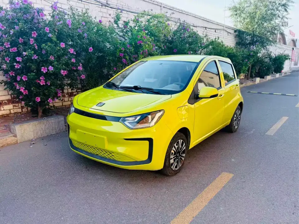 Sehol Flower Fairy 200km Classic Edition 2021