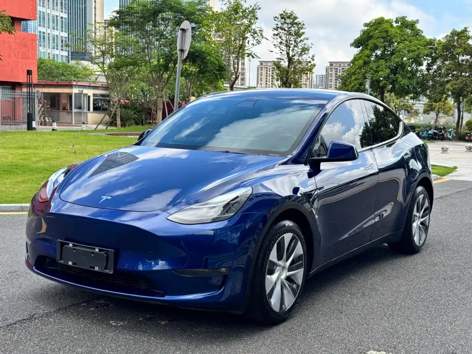 Tesla Model Y Model Long Range AWD 2021