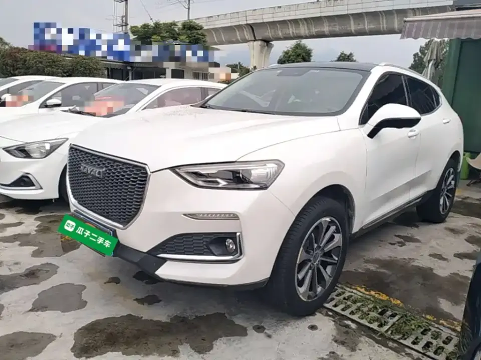 Haval F5 National Trend Edition 1.5T iTrend China VI 2019