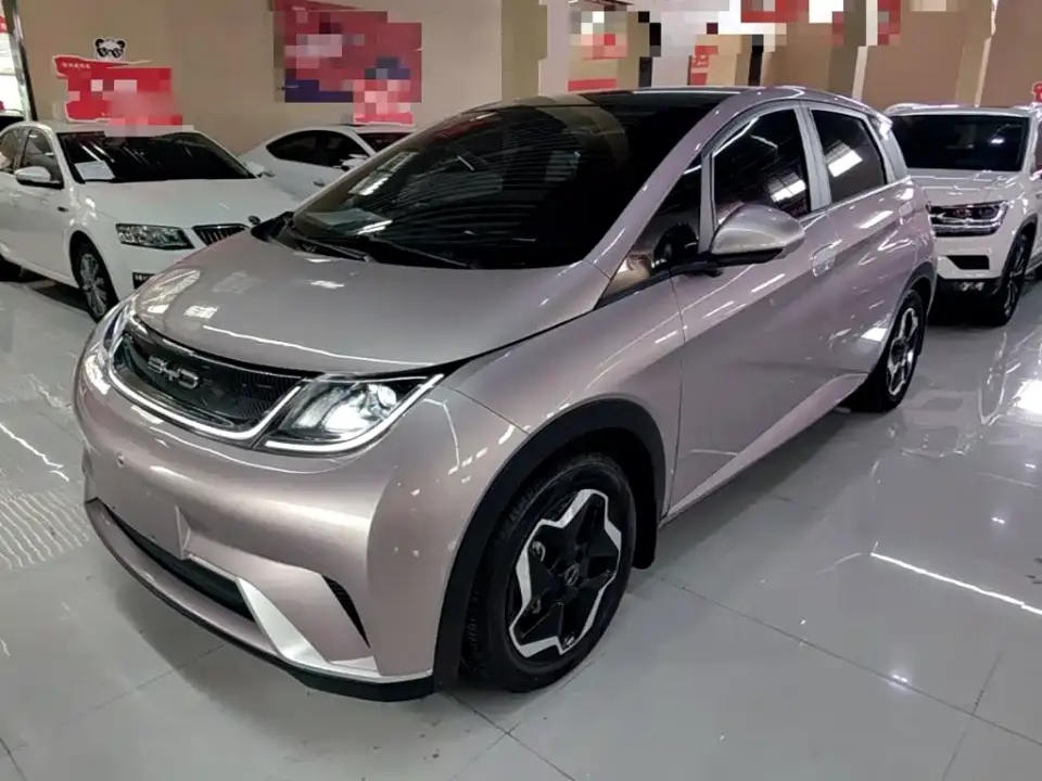 BYD Dolphin Model 405km Fashion Edition 2023