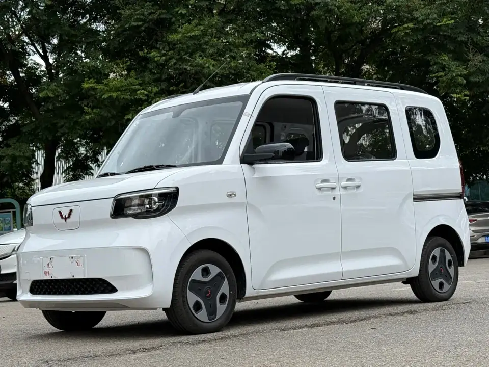 Wuling Motors Wuling Zhiguang NEV Model 305km Base Version 2026